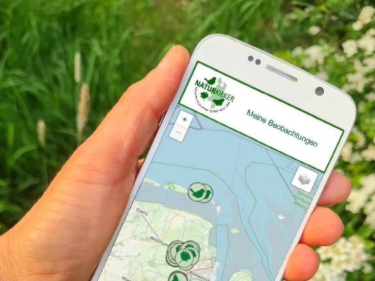 Anwendung der App Naturkieker